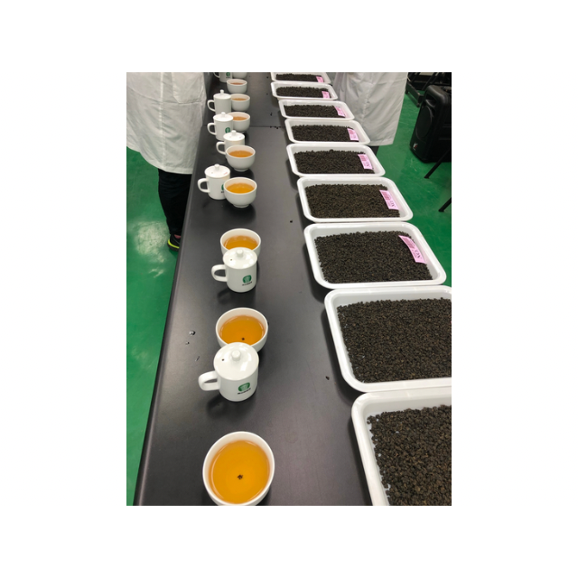 鹿谷農會比賽茶真正的評審精神